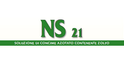 NS 21